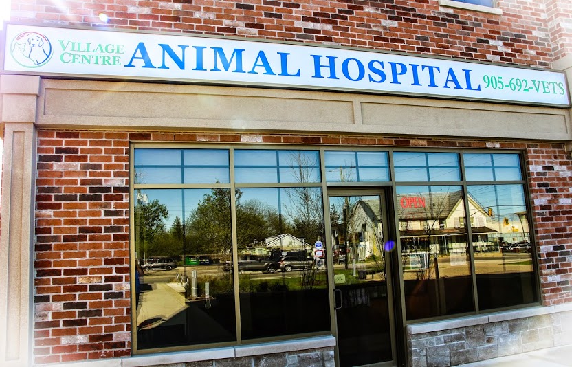 Village Centre Animal Hospital :: Virtual Office Tour